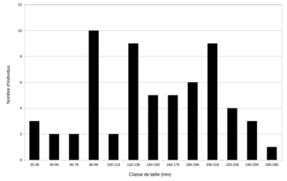 Orlu : Répartition des individus par classes de taille