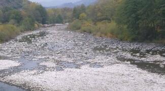 Rivière Ardèche