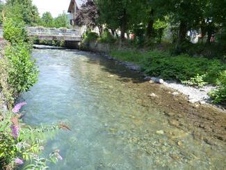 Pêche pyrénées