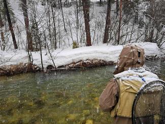 Pêche alpes