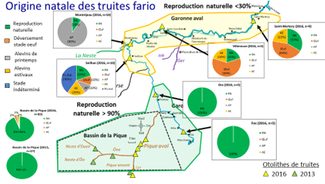 Pêche Pyrénées