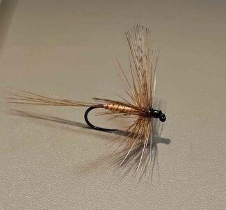 Spinner march brown