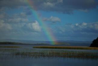 Pêche Irlande