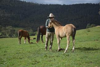 Australie