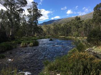 Pêche Australie