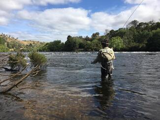 Derwent River