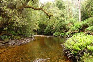 Styx river