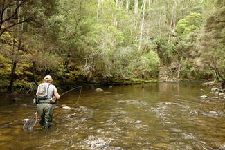 Tyenna river