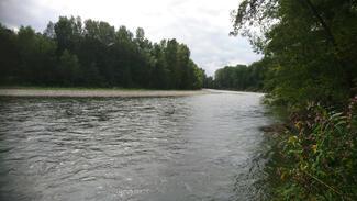 pêche grosse truite