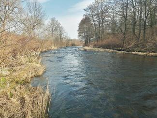 Pêche Alsace