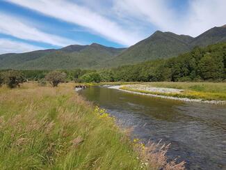 Pêche NZ