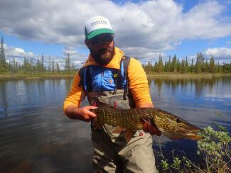 Pêche brochet Laponie