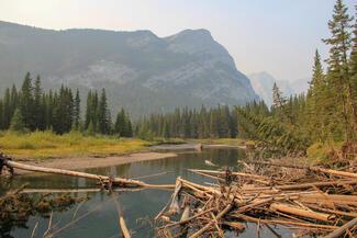 Pêche Alberta