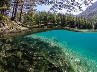 Lac de montagne