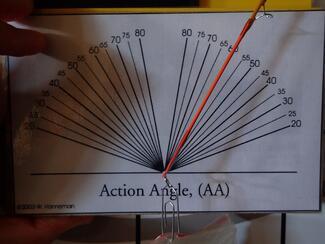 AA Loop Evotec