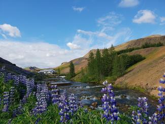 pêche Islande