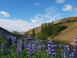 pêche Islande