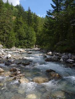 Pêche Ubaye