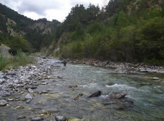 Pêche Ubaye