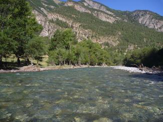 Pêche Ubaye