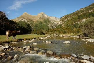 Rio Ara aragon pêche