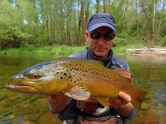 pêche truite Lelouvier