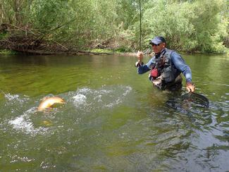 Pêche truite Lelouvier