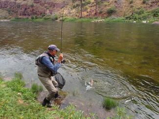 Pêche truite Lelouvier