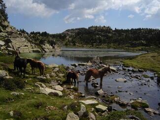 pêche lac Carlit