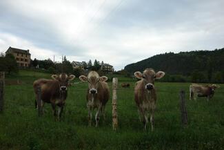 pêche Lozère