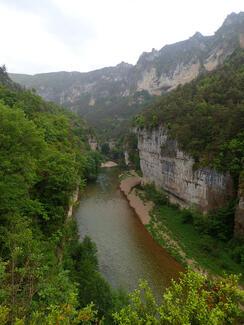 pêche Tarn gorge