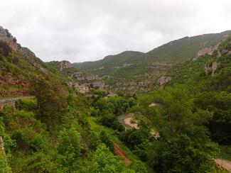 pêche Tarn gorge