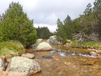 pêche Tarn