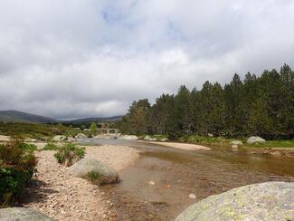 pêche Tarn