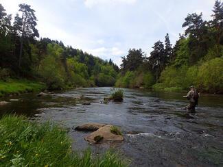 pêche Lozère Allier