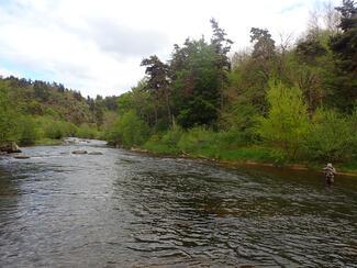 Pêche Lozère Allier