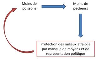 écologie et halieutisme