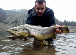 Pêche grosse truite Villefort