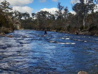 Meander River Tasmanie