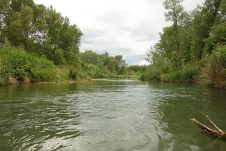 Le Bas Verdon (13) : fameuse tailwater à grosses truites