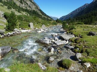 pêche torrent de montagne