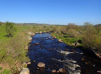 pêche Lozère Bes