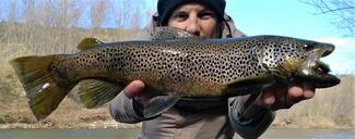 Pierre Cast grosse truite pyrénées