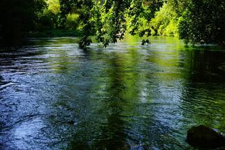 La Sorgue du Vaucluse