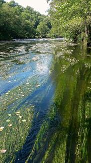 pêche truite leurre