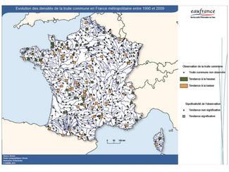 pêche truite en France