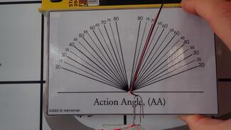 AA Guideline Elevation