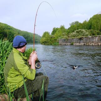 pêche alose