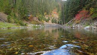 Saint Joe River