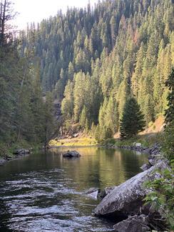 pêche truite Idaho